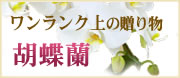 ワンランク上の贈り物 胡蝶蘭ギフト