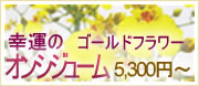 黄色い蘭の定番