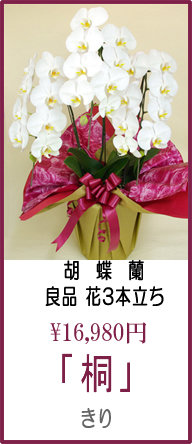 「商品名:きり」良品 花3本立ち