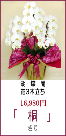 「商品名：桐」良品 花5本立ち
