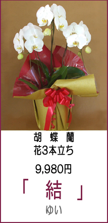 「商品名:結」花3本立ち