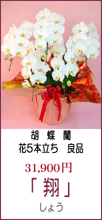 「商品名：しょう」良品 花5本立ち