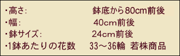 サイズ高さ85ｃｍ幅40ｃｍ