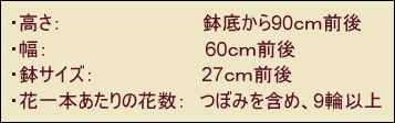 サイズ高さ90ｃｍ幅60ｃｍ