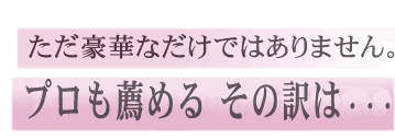 ただ豪華なだけではない プロが薦めるその訳は、