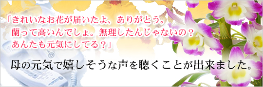 お祝いに、蘭の花を贈る